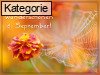 6. September