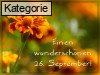 26. September (Normale Tageskarten)