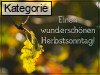 Sonntag
