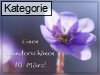10. M�rz
