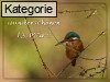 13. M�rz (Normale Tageskarten)
