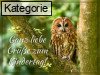 Weltkindertag (Deutschland: 20.9)