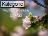 05. Mai (Normale Tageskarten)