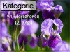 12. Mai (Normale Tageskarten)