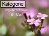 15. Mai (Normale Tageskarten)