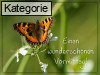 Sch�nen Vormittag