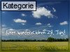 28. Juni (Normale Tageskarten)