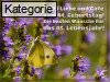 44. Geburtstag