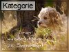 23. September (Normale Tageskarten)