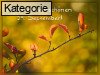 29. September (Normale Tageskarten)
