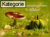 09. Oktober (Normale Tageskarten)