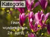 24. April (Normale Tageskarten)