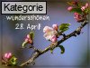 28. April (Normale Tageskarten)