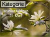 11. Mai (Normale Tageskarten)