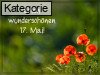 17. Mai