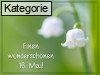 16. Mai (Normale Tageskarten)