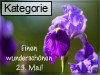 23. Mai (Normale Tageskarten)