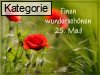 25. Mai (Normale Tageskarten)
