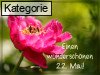 22. Mai