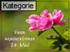 24. Mai (Normale Tageskarten)