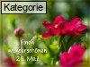 26. Mai (Normale Tageskarten)