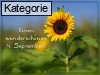 4. September
