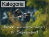 15. September