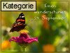 24. September (Normale Tageskarten)