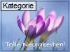 Gute Nachrichten oder Neuigkeiten