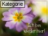 Zur�ck & wieder da