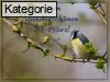 27. M�rz (Normale Tageskarten)