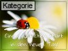 Guten Morgen