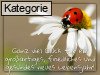 Geburtstagskarten