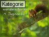 19. September