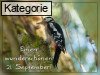 21. September (Normale Tageskarten)