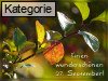 27. September (Normale Tageskarten)