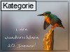 20. Januar (Normale Tageskarten)