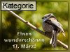 17. M�rz (Normale Tageskarten)