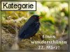 22. M�rz (Normale Tageskarten)