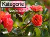 18. Juni (Normale Tageskarten)
