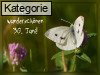 30. Juni (Normale Tageskarten)