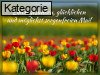 01. Mai (Normale Tageskarten)