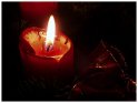 Eine rote Kerze (1. Advent) 
 
Dieses Motiv finden Sie seit dem 22. Dezember 2003 in der Kategorie Adventskränze.