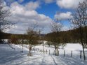 Verschneite Wiesen und Felder mit Bäumen, von denen der Schnee bereits abgefallen ist