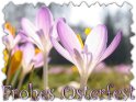 Frohes Osterfest 
 
Dieses Motiv findet sich seit dem 17. Mrz 2005 in der Kategorie Osterkarten.