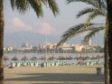 Zwischen den Palmen hindurch blickt man auf den Strand von El Arenal mit seinen Sonnenschirmen und Liegen.