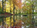 Spiegelungen herbstlich bunter Bume im Wasser 
 
Dieses Motiv findet sich seit dem 27. Oktober 2005 in der Kategorie Herbstlandschaften.