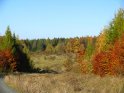 Herbstlich bunte Bume umgeben von Tannen mit einer Wiese in der Mitte 
 
Dieses Kartenmotiv wurde am 28. Oktober 2005 neu in die Kategorie Herbstlandschaften aufgenommen.
