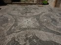 ... Auf diesen Mosaiken der Cisiarii Therme sieht man Maultiere bei der Arbeit. Offenbar identifizierten sich die Fuhrleute stark mit ihrem Beruf. ...
