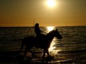 Reiterin mit Pferd am Strand bei Sonnenaufgang